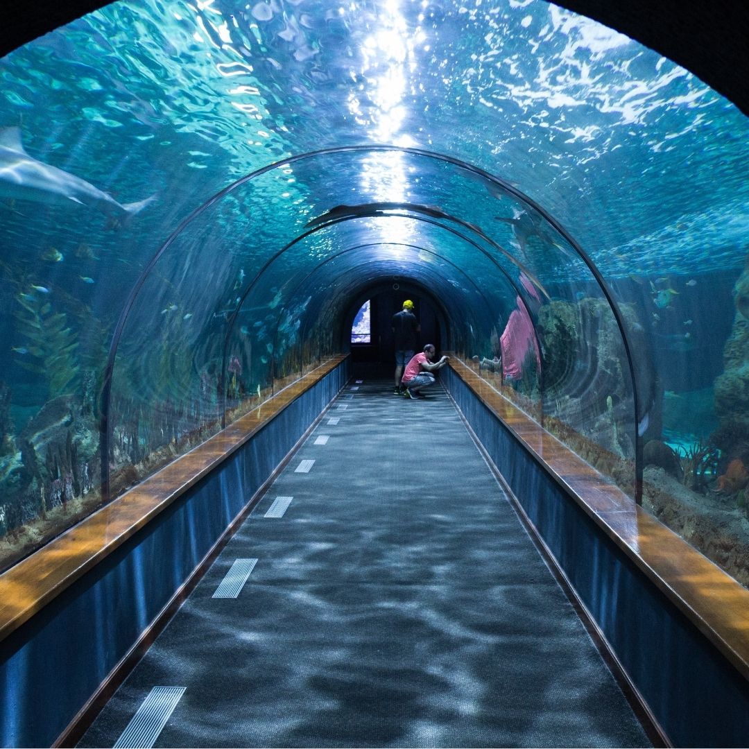 Antalya Aquarium von Side